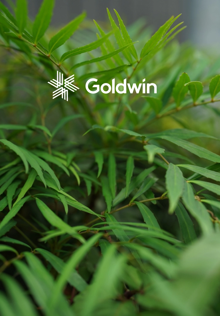 Goldwin ゴールドウィン 26ss