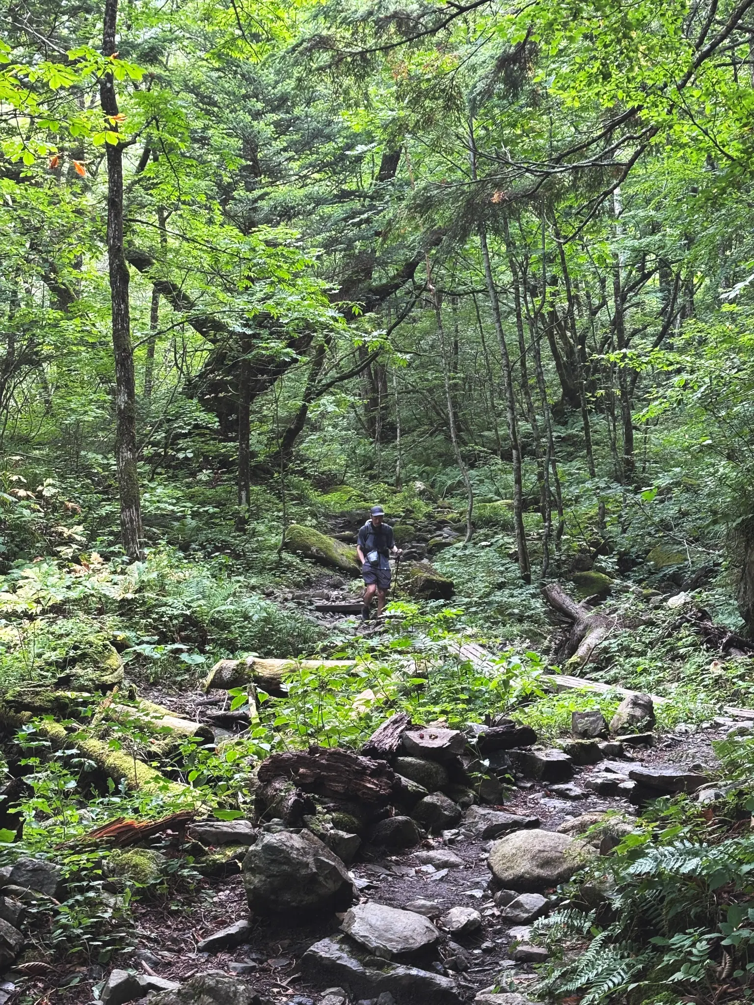 蝶ヶ岳から三股登山口へ下山する様子