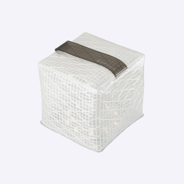 CARRY THE SUN L[UT EH[Cg ~fBA